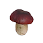 Shroom Amanita