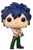 282 Gray Fullbuster Fairy Tail Funko pop