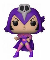 603 Raven Teen Titans GO! Funko pop