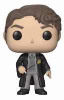 60 Tom Riddle Harry Potter Funko pop