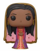 543 Desert Moon Jasmine HT Aladdin Funko pop