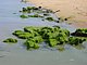 Hammock Dunes Flagler County Florida 27.jpg