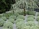 Longwood Gardens Pennsylvania 161.jpg