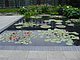 Longwood Gardens Pennsylvania 75.jpg