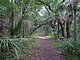 Washington Oaks Flagler County Florida 45.jpg