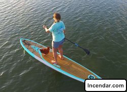 Florida Keys woman paddleboards with pet chicken