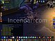 Freelancers Wowscrnshot 020505 160746 Vanilla Wow.jpg